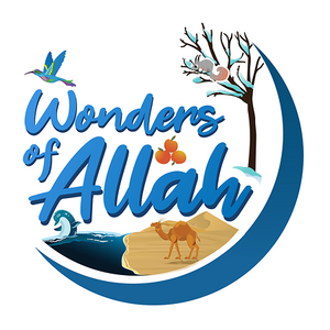 Wonders of Allah